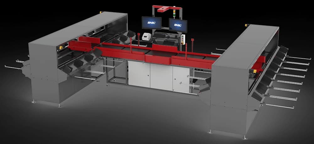 SNBC Flexible Sorting
